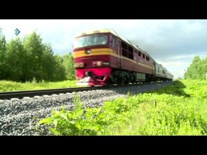 В Эжвинском районе столицы поезд насмерть сбил несовершеннолетнюю девушку