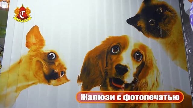 Жалюзи с фотопечатью от компании Статус
