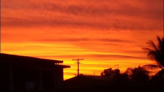 Control - zoe wees (speed up) смотреть онлайн