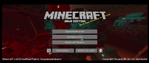 играю на reallyworld