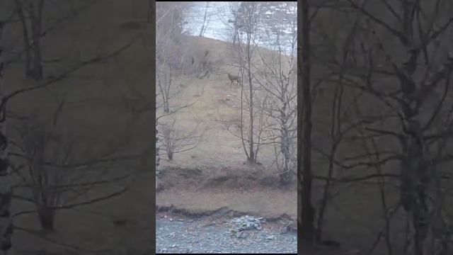 КРАСОТА ПРИРОДЫ #Дагестан #Тляратинскийрайон #заповедник #заказник