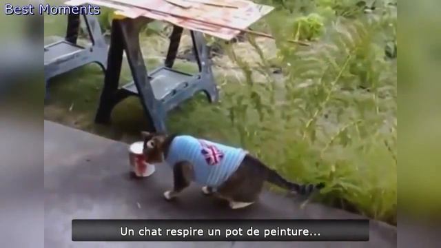 Ютуб приколы года, приколы видео бесплатно нарезки 2014 смотреть онлайн