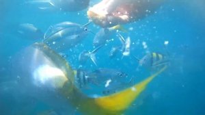 Ко Чанг экскурсия пять островов