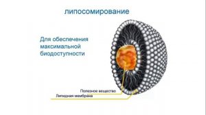 Михайловская Т. Коктейли Адженис