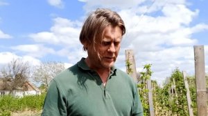 Нужна ли малине шпалера? Какие сорта можно выращивать малину без шпалеры