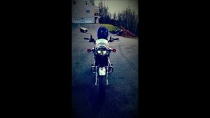 Kawasaki W800 - (how it feels to own and ride one)