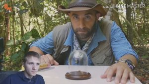 УКУС ОСЫ ПАЛАЧА #1 ЖЕСТЬ,САМЫЙ БОЛЕЗНЕННЫЙ УКУС