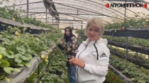 МУРАНО. Вся правда о муране в малообъемке.