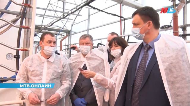 Уникальный агрокомплекс по выращиванию рассады создан в Волгоградской области