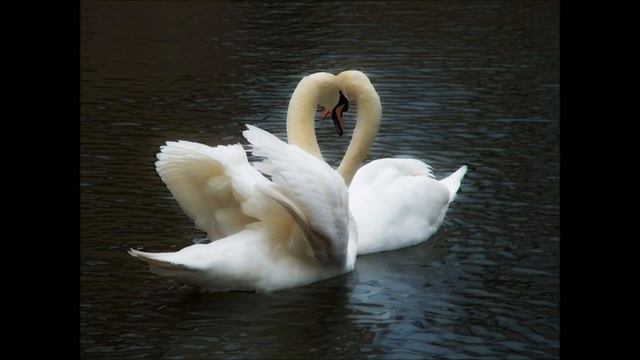 Pritcha o Lyubvi 100% смотреть онлайн