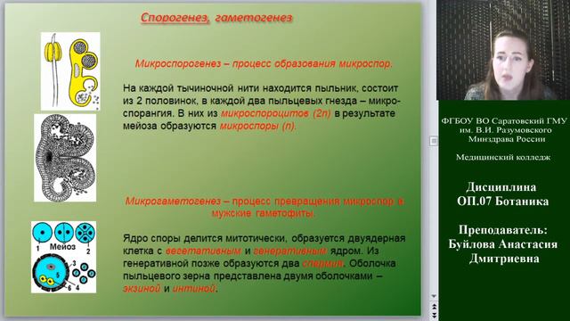 Ботаника лекция №8