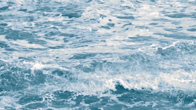 "Водоворот": ранний период творчества Д. Вильнёва смотреть онлайн