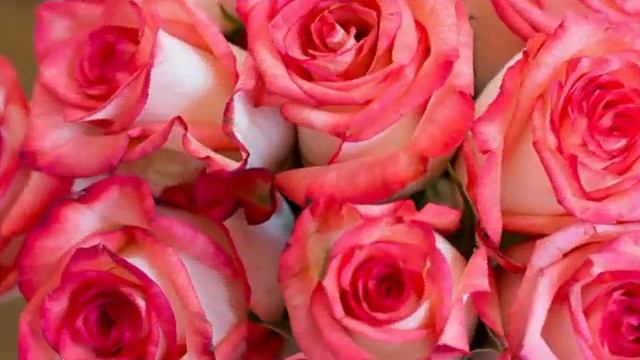 С_ДНЕМ_РОЖДЕНИЯ_МУЗЫКАЛЬНАЯ_ОТКРЫТКА_ПОЗДРАВЛЕНИЕ.mp4