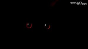 Страшная история- девочка под школой