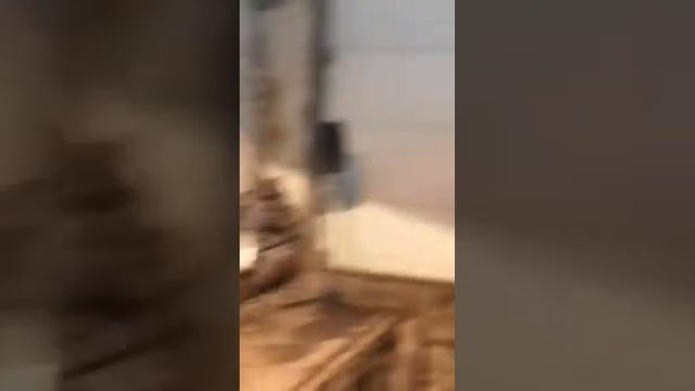 Посиделки в гараже. смотреть онлайн