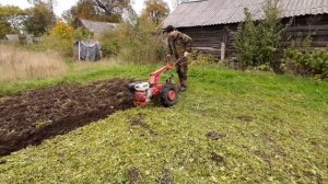 запахиваю сидераты в зиму