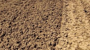 Основное внесение удобрений в почву,перед посадкой клубники.