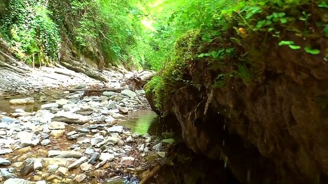 Путешествие по дикой природе в Сочи. Река Неожиданная в глубине каньона. смотреть онлайн