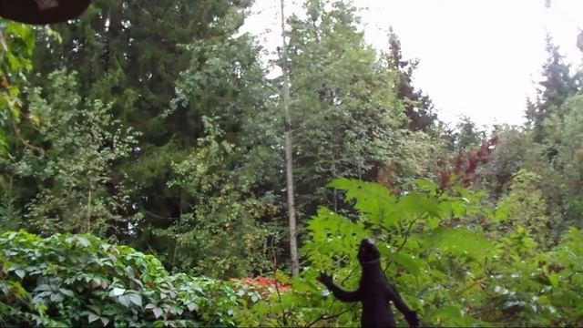 10 min of Kostik # 61 смотреть онлайн