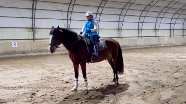 В чем ездить верхом? смотреть онлайн