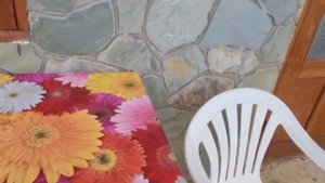 Где можно снять жилье на время отдыха в Архипо-Осиповке