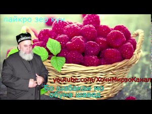 ХОЧИ МИРЗО  - ЗАНХОИ БЕМАЪНЕ_ ХАКОРАТЧИ