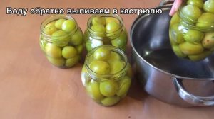 Очень вкусная солёная слива на ЗИМУ ?