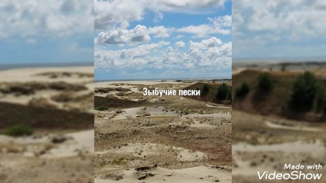 Высота Эфа на Куршской косе  июль 2022