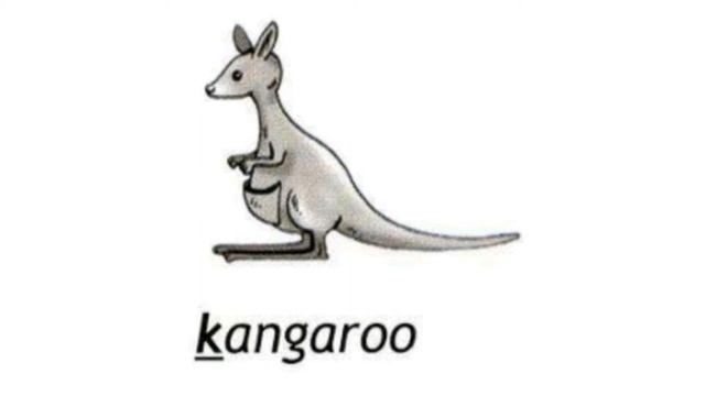 How to Pronounce Kangaroo in British English