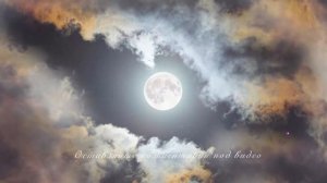 Телец и Дева совместимость.