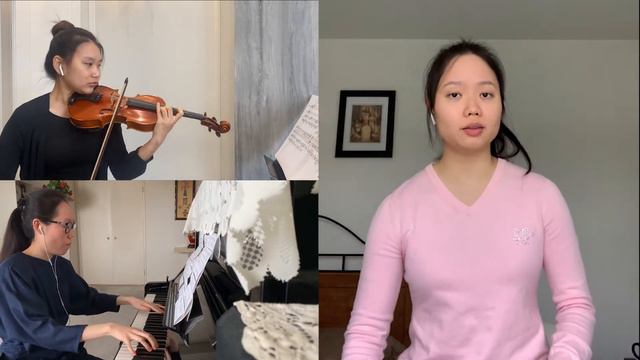 lo Ti Penso Amore - The Devils Violinist