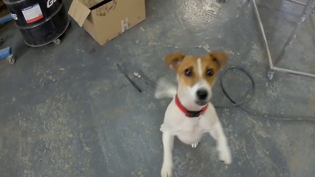 ремонт коробки чери м11 смотреть онлайн