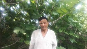 АНЖИРНИ ПАЙВАНД КИЛИШ...ПРИВИВКА ЭНЖИР