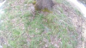 Как выбрать место под солонец