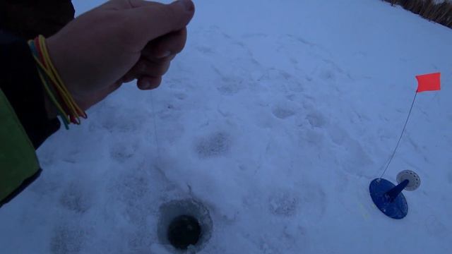 Ловля форели на жерлицы , зимняя рыбалка на карпа , тестируем хапуги смотреть онлайн