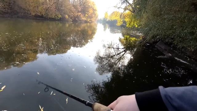 Осенняя рыбалка на реке Десна. Береговой спиннинг. смотреть онлайн
