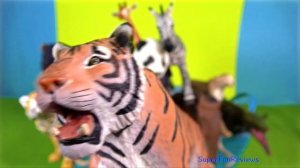 Zoo Animals, Wild Animals, Sharks, Sea Animals, Whales, Prehistoric Animals - Kids Educational Vide