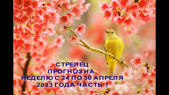 СТРЕЛЕЦ ГОРОСКОП Н НЕДЕЛЮ С 24 ПО 30 АПРЕЛЯ 2023 ГОДА