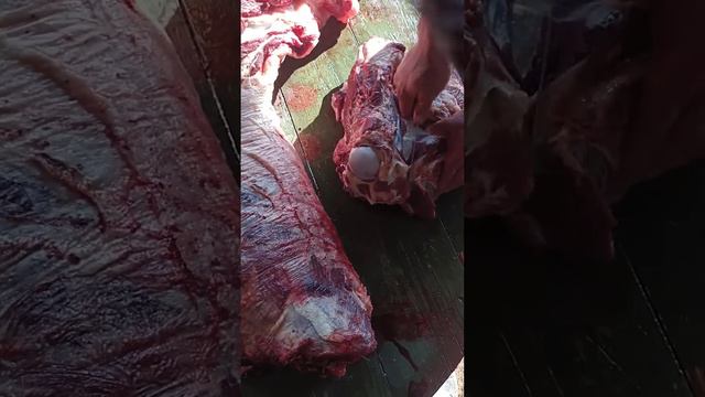 жылқы етін мүшелеп бұзу. жылқы малсою лошади жылқыбордақылау той әр қазақ білуі керек