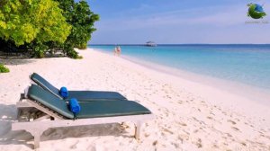 Royal Island Resort & Spa 5* Мальдивы
