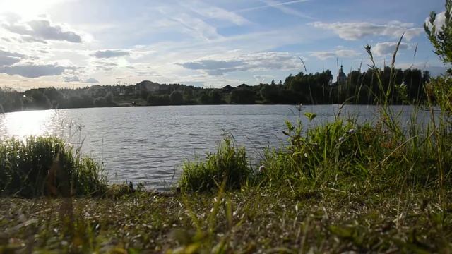Машковский пруд (Жуковский район, Калужская область). 25 июня 2019 года смотреть онлайн