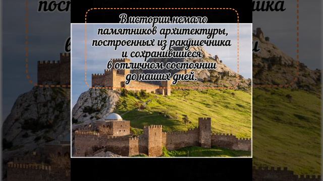 Ракушечник: ценность камня.
#ракушечник камень
#факты