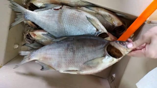 Вяленый лещ отличного качества в Ростове на Дону