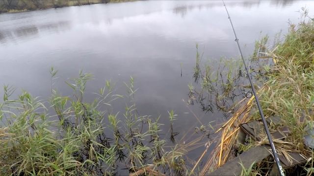 СКАЧКИ АТМОСФЕРНОГО ДАВЛЕНИЯ, - в итоге слабый клёв щуки - (2.11.23) смотреть онлайн