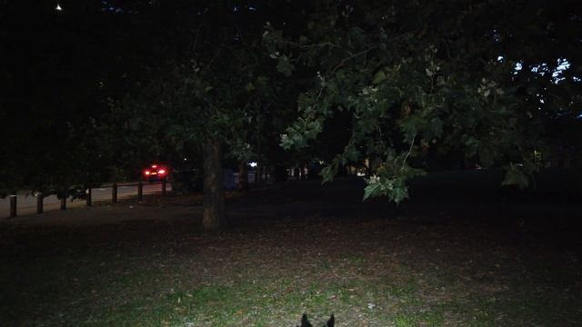 Мини прожектор Ulanzi L1 для экшн камер смотреть онлайн