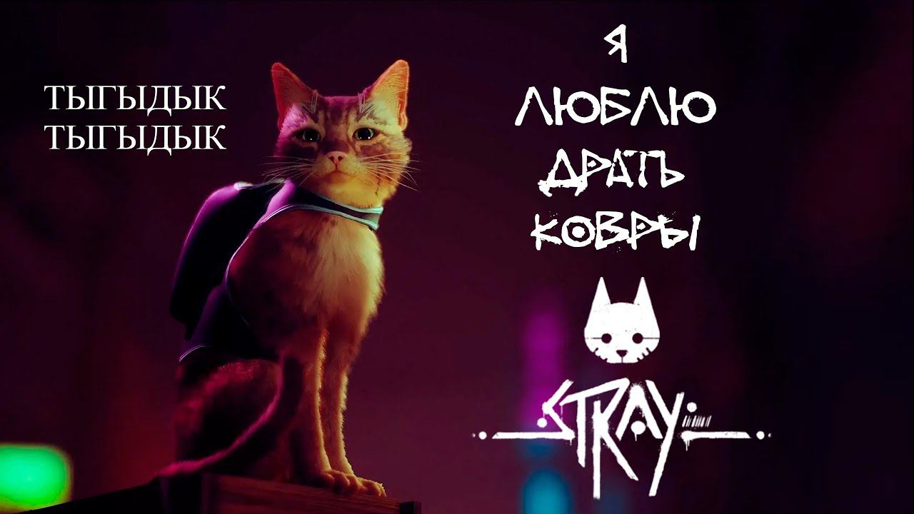 КОТЕЙСКАЯ БРОДИЛКА STRAY