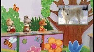 География, выпуск 14. Животный мир тундры