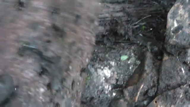 19 Металлокоп откопал бандуру смотреть онлайн