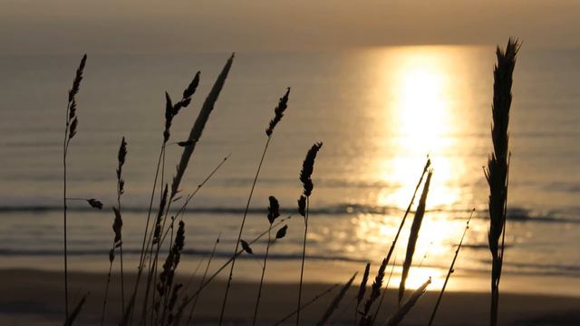 Johann Sebastian Bach: Siciliano in G minor from Flute Sonata, BWV 1031 смотреть онлайн