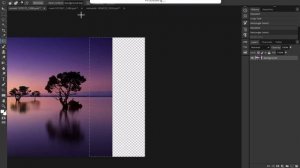 Adobe Ai Generative fill Vs Photopea Ai Magic Replace | Photopea tutorial | Photopea new Editing